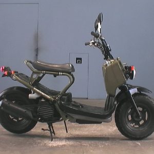 2006 Honda Zoomer TRC