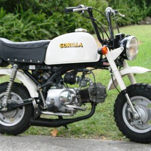 1986 Z50 Honda Gorilla